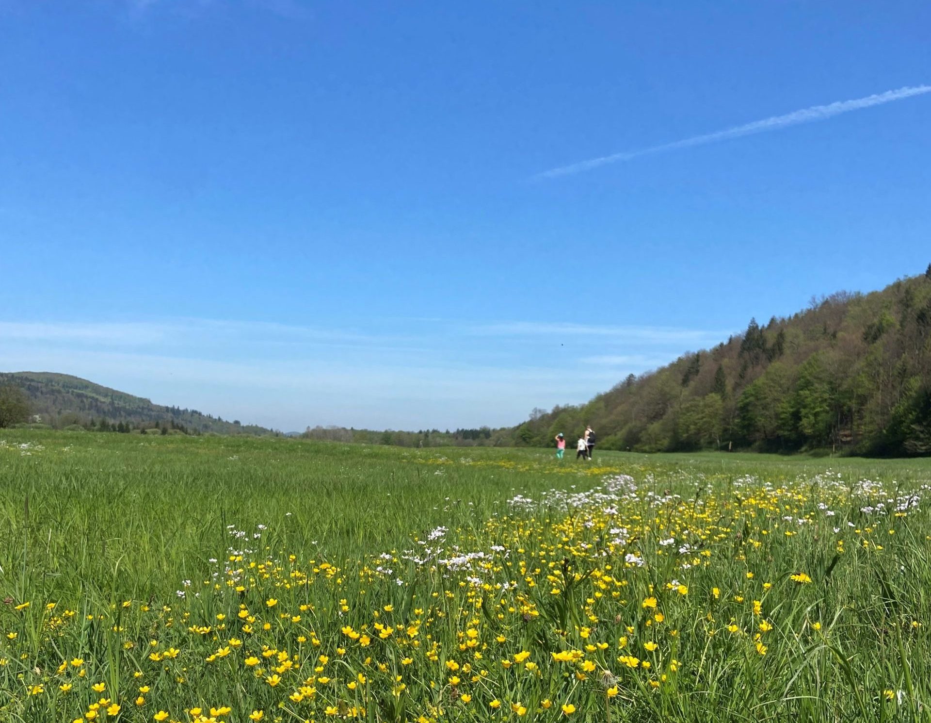 Radensko polje