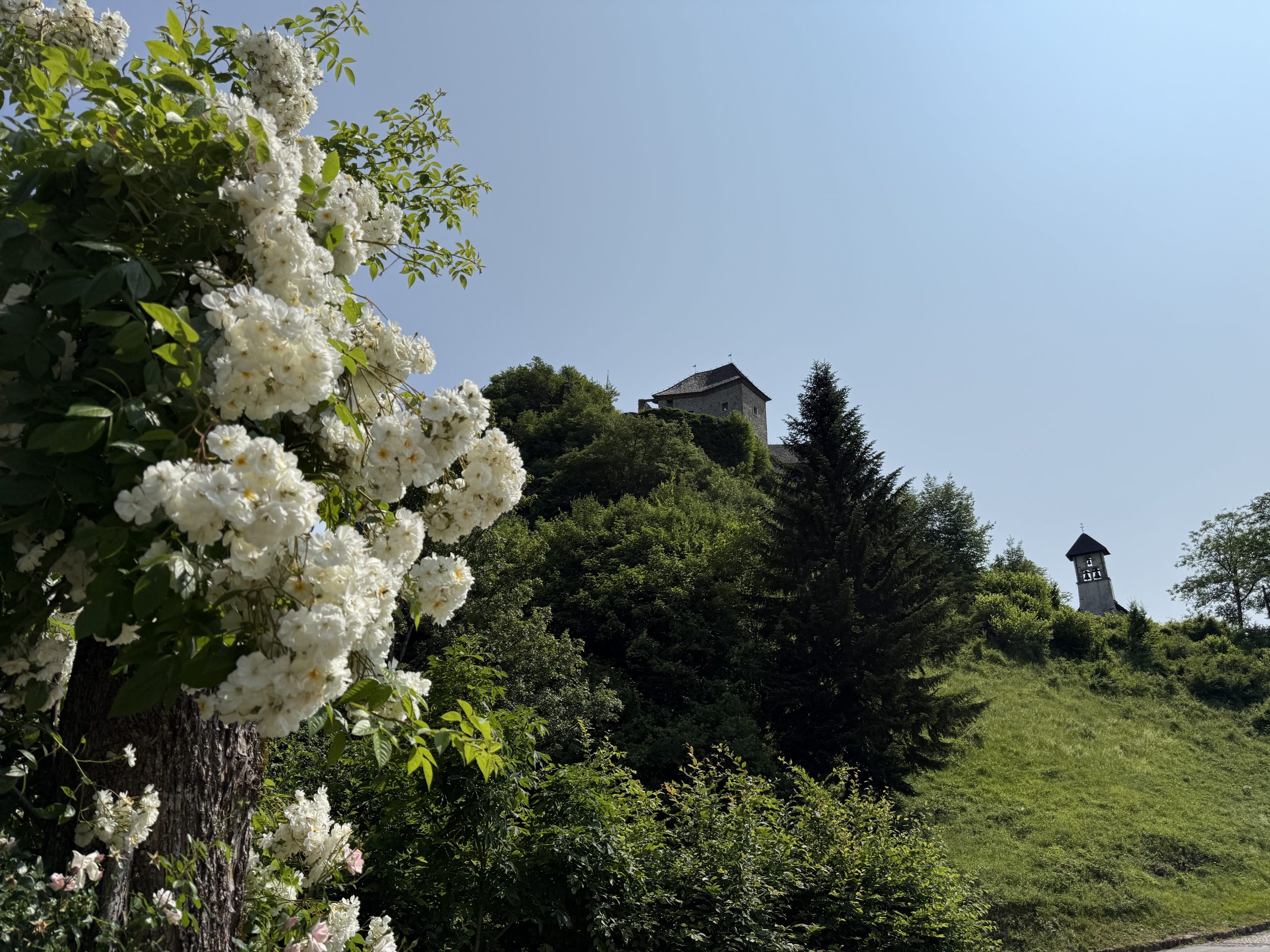 Občina Kostel