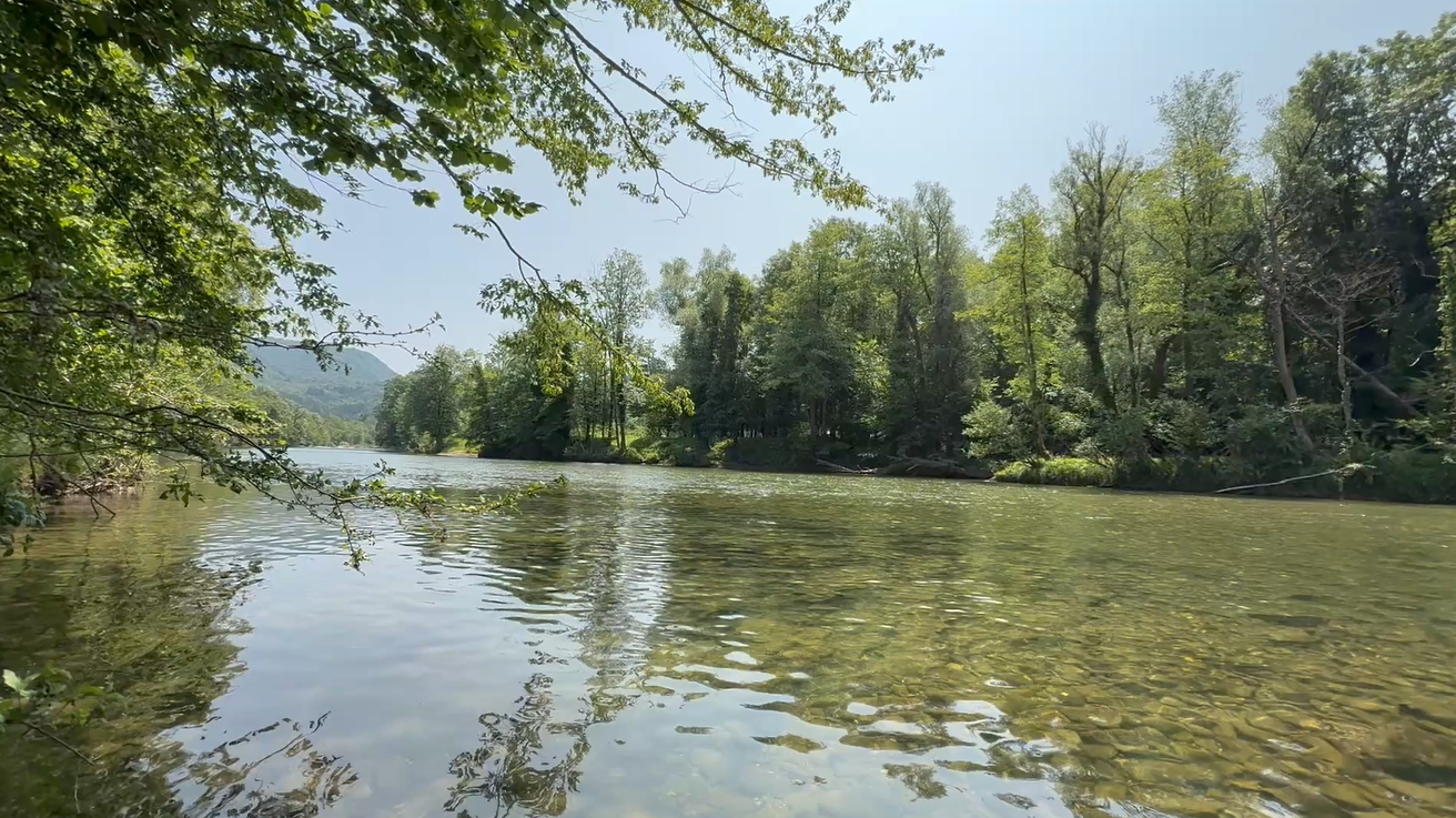 Občina Kostel