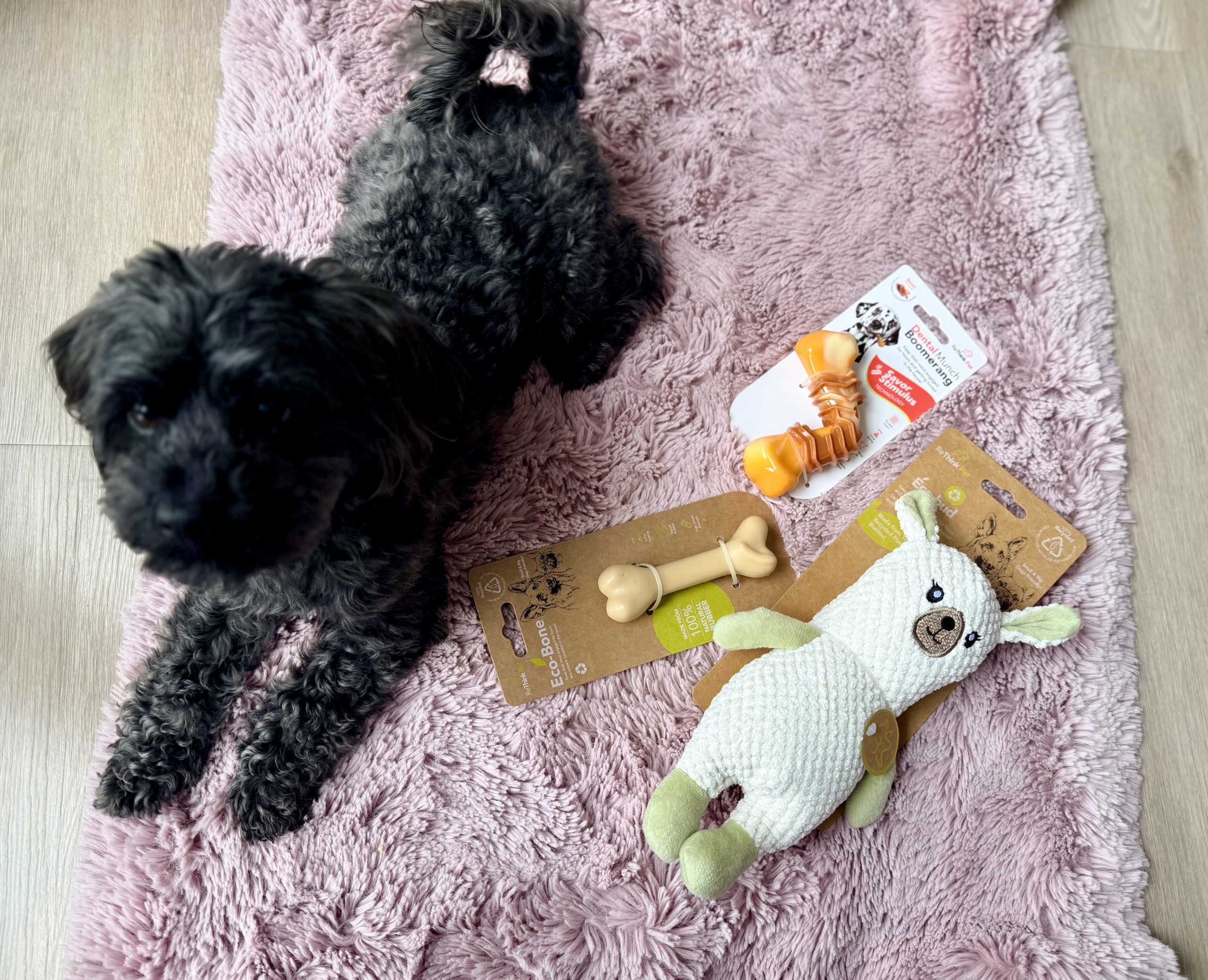 Spar, igrača za pse