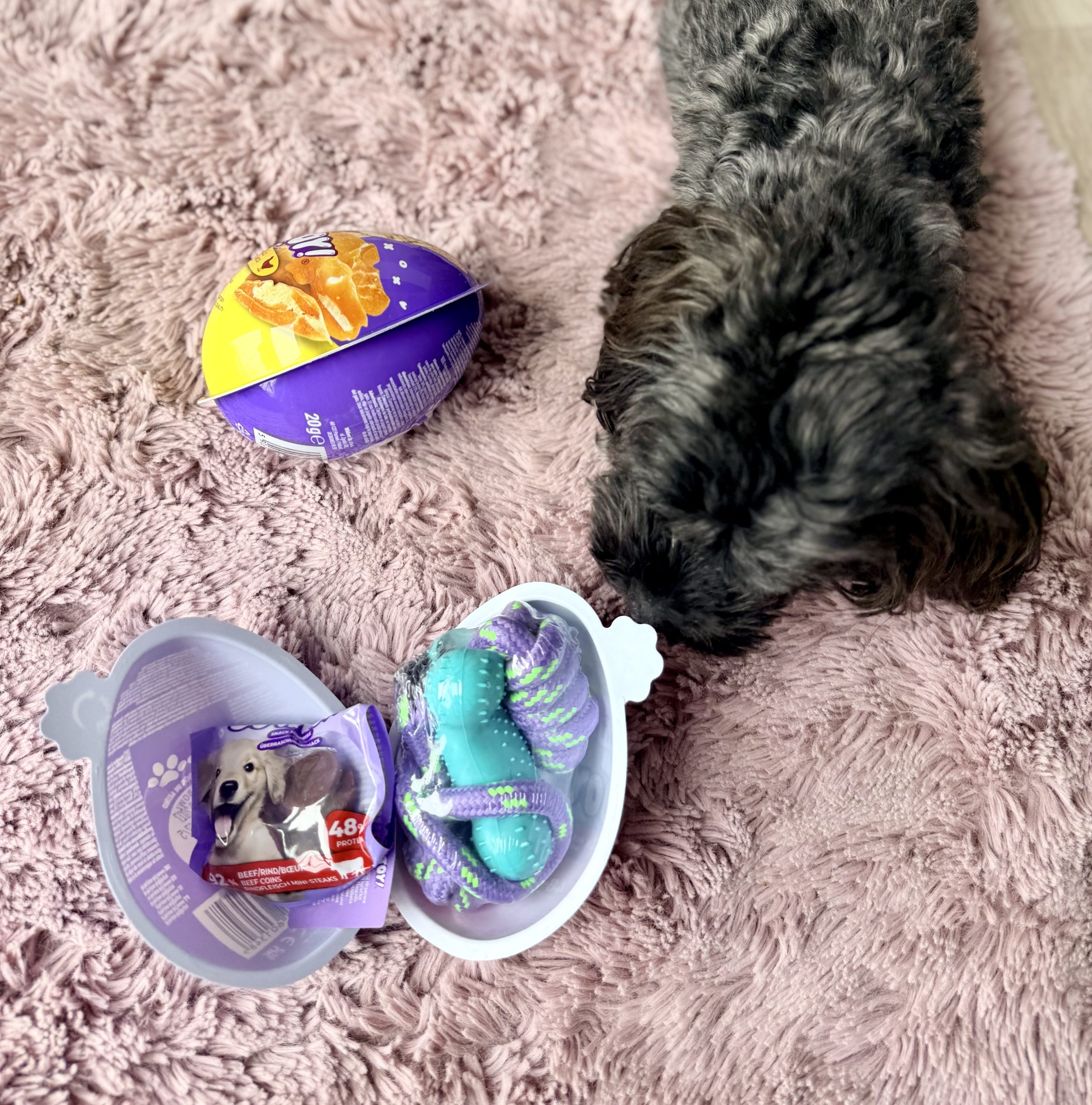 Spar, igrača za pse