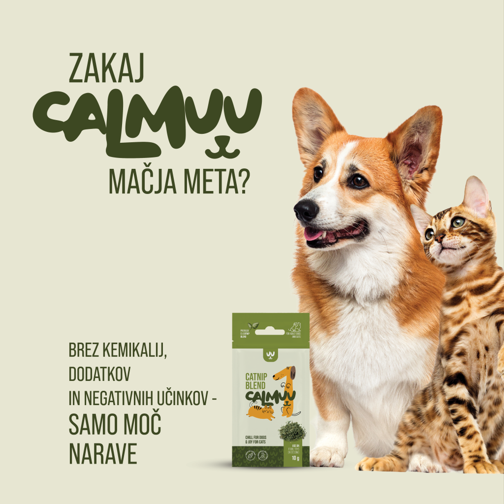Calmuu