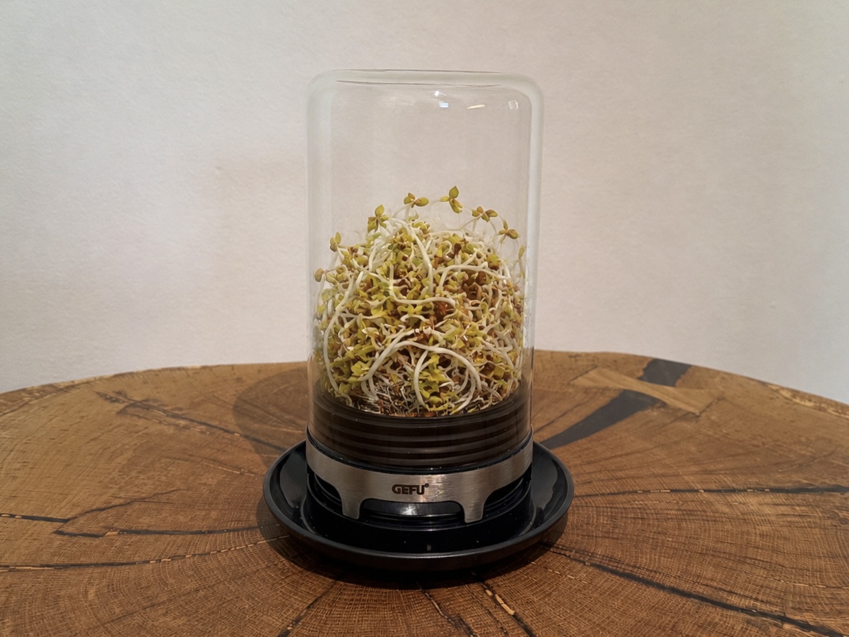 fermentacija