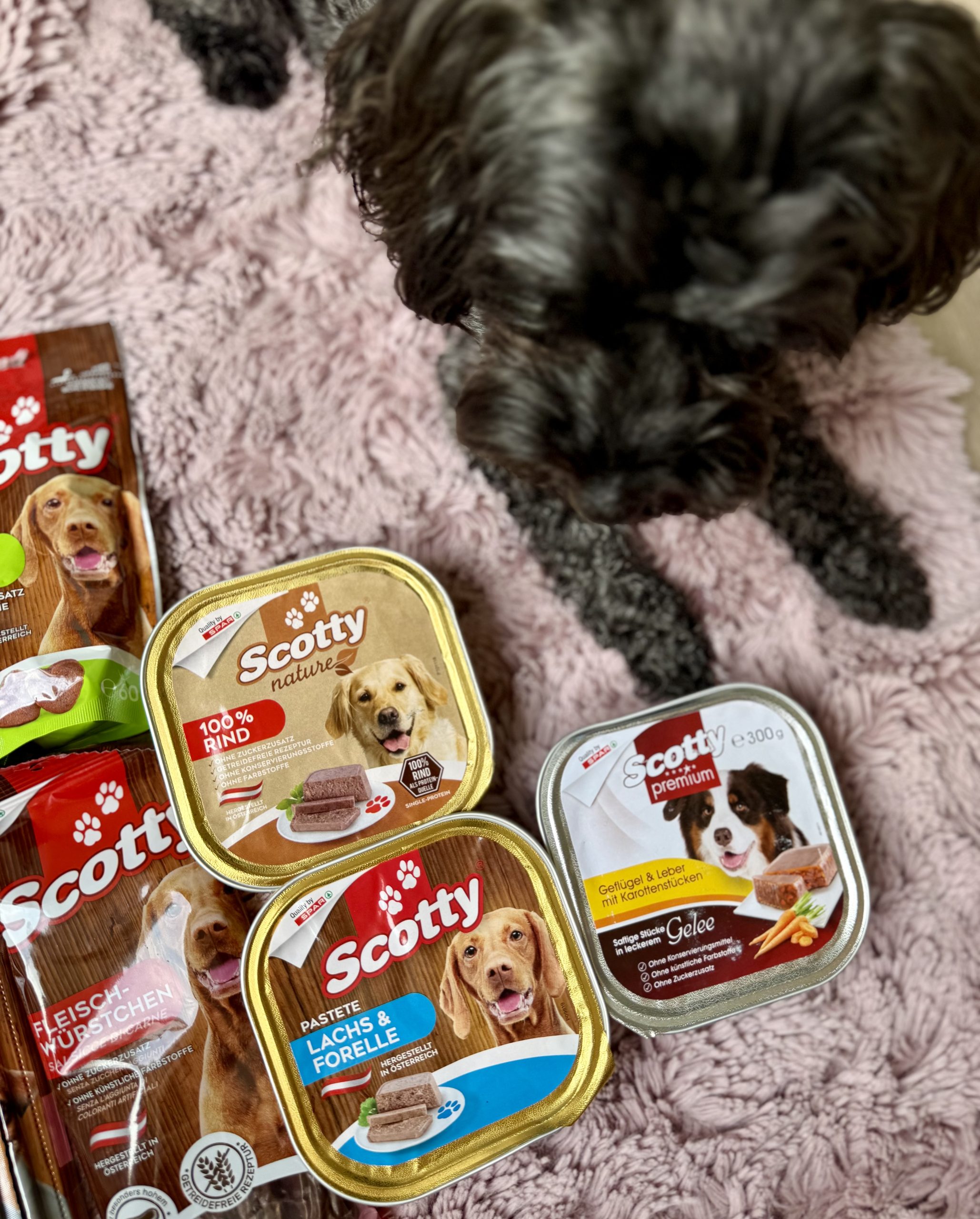 Spar, hrana Scotty, hrana Molly