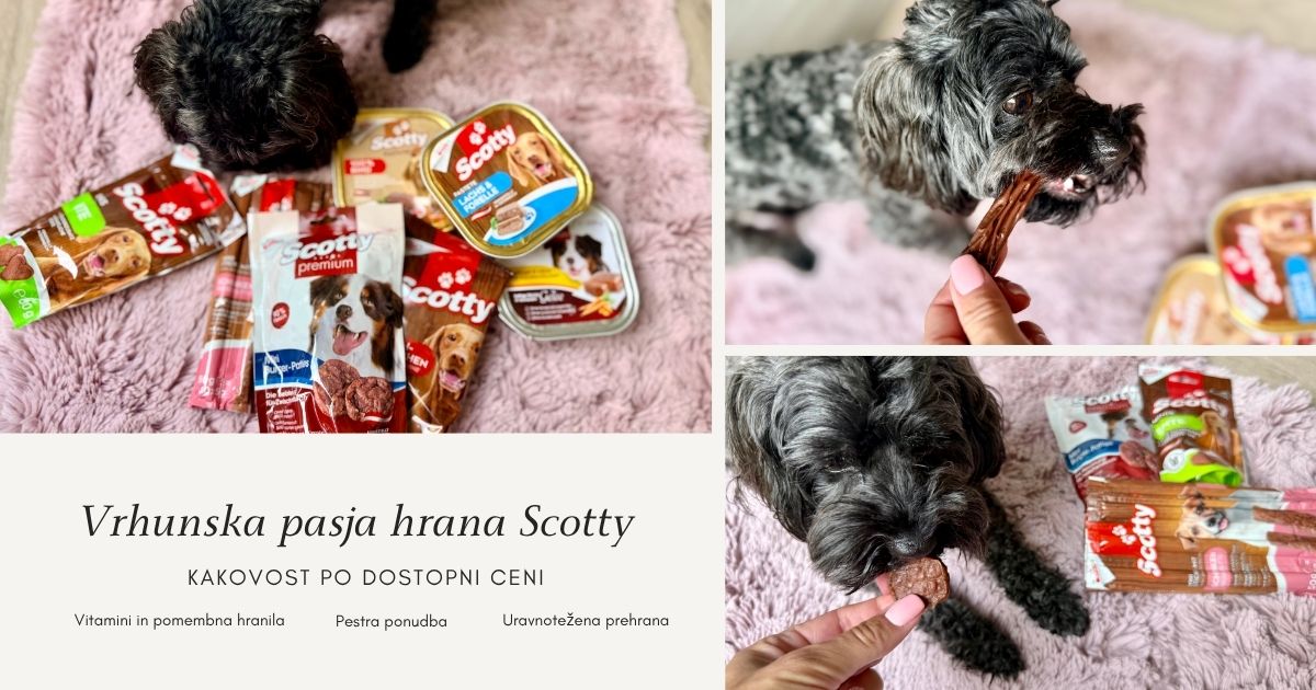 Vrhunska pasja hrana Scotty, Spar
