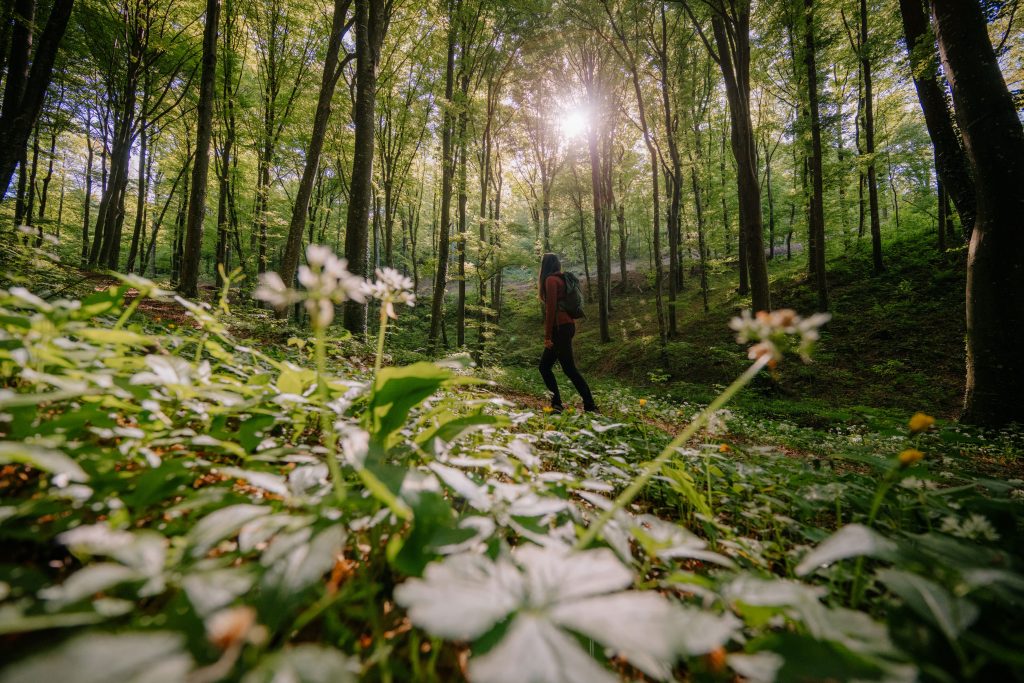 TZ Zagorje