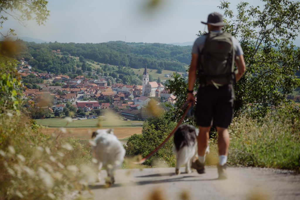 TZ Zagorje